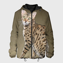 Куртка с капюшоном мужская Пятнистый котик, цвет: 3D-черный