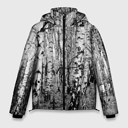 Куртка зимняя мужская Березовая роща, цвет: 3D-черный