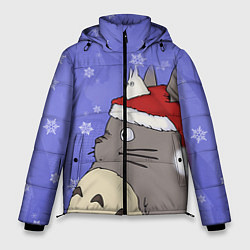 Куртка зимняя мужская Тоторо и снег, цвет: 3D-светло-серый