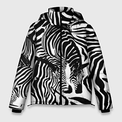 Мужская зимняя куртка Полосатая зебра