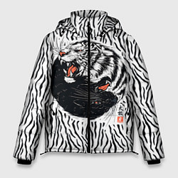 Мужская зимняя куртка Yin Yang Tigers