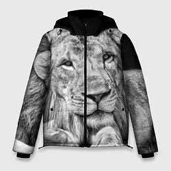 Мужская зимняя куртка Милый лев