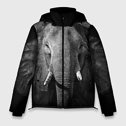 Куртка зимняя мужская Взгляд слона, цвет: 3D-черный