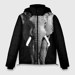 Мужская зимняя куртка Старый слон