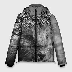 Куртка зимняя мужская Взгляд ёжика, цвет: 3D-черный