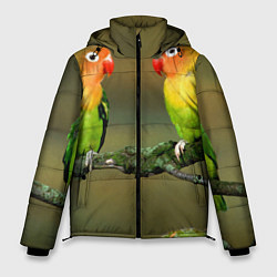Куртка зимняя мужская Два попугая, цвет: 3D-черный