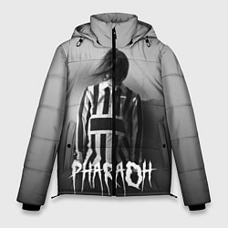 Куртка зимняя мужская Pharaoh: Black side, цвет: 3D-светло-серый