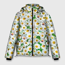 Куртка зимняя мужская Полевые ромашки, цвет: 3D-черный