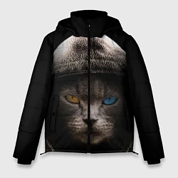 Куртка зимняя мужская Уличный кот, цвет: 3D-черный