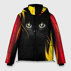 Куртка зимняя мужская Грозовой кошак, цвет: 3D-черный