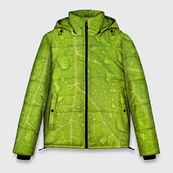 Куртка зимняя мужская Листок с росой, цвет: 3D-черный