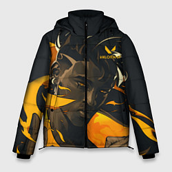 Куртка зимняя мужская VALORANT PHOENIX, цвет: 3D-черный