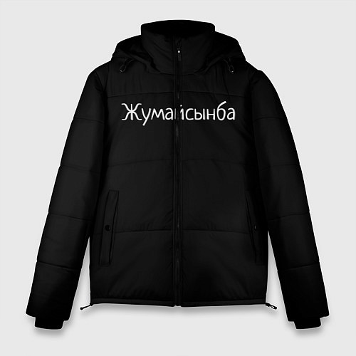 Мужская зимняя куртка Жумайсынба / 3D-Светло-серый – фото 1