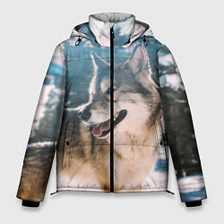 Куртка зимняя мужская Волк и снег, цвет: 3D-красный