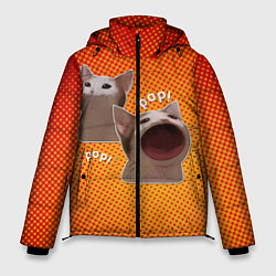 Куртка зимняя мужская Cat Pop Мем, цвет: 3D-красный