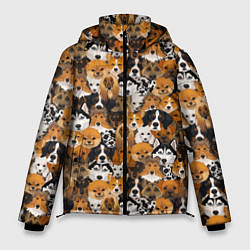 Куртка зимняя мужская Разные Собаки, цвет: 3D-светло-серый