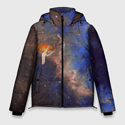 Куртка зимняя мужская Cosmic animal, цвет: 3D-светло-серый