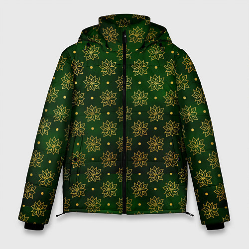 Мужская зимняя куртка Gold & Green / 3D-Светло-серый – фото 1