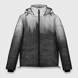 Куртка зимняя мужская Туманный лес - туман, цвет: 3D-светло-серый