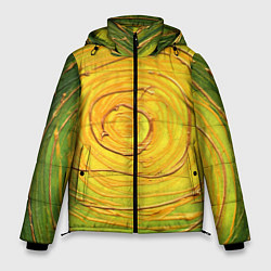 Куртка зимняя мужская Желто-зеленая текстурная абстракция акрилом, цвет: 3D-черный