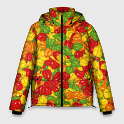 Куртка зимняя мужская Острый перц Хабанеро, цвет: 3D-светло-серый