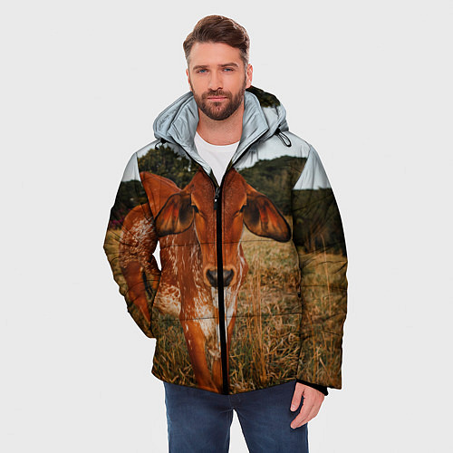Мужская зимняя куртка Коровка на поле / 3D-Красный – фото 3