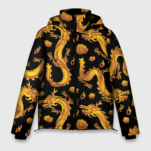 Мужская зимняя куртка Golden dragons / 3D-Светло-серый – фото 1