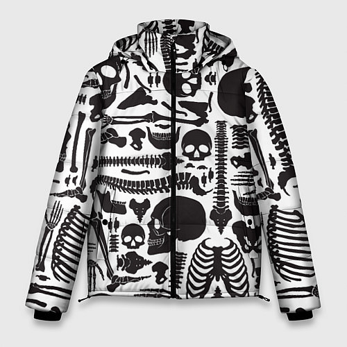 Мужская зимняя куртка Human osteology / 3D-Светло-серый – фото 1