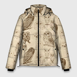 Куртка зимняя мужская Эскизы сов тетрадный лист в клетку, цвет: 3D-красный