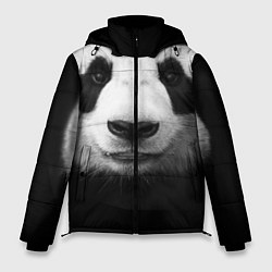 Куртка зимняя мужская Взгляд панды, цвет: 3D-красный