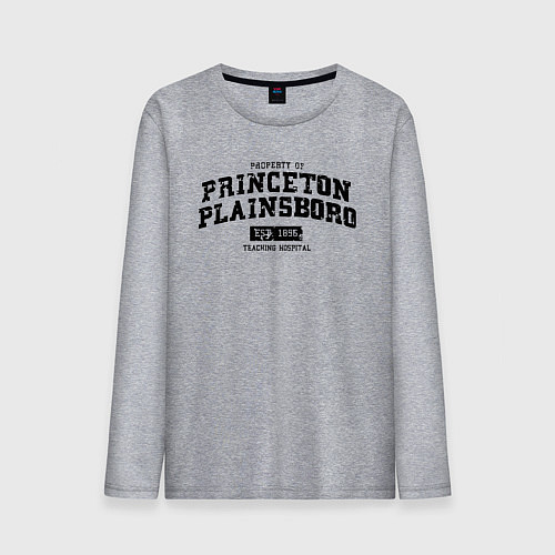 Мужской лонгслив Princeton Plainsboro / Меланж – фото 1