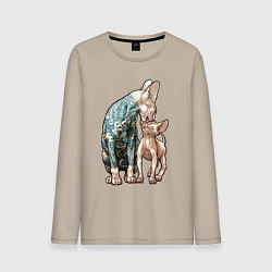 Мужской лонгслив Кошки сфинксы