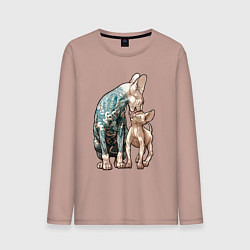 Лонгслив хлопковый мужской Кошки сфинксы, цвет: пыльно-розовый