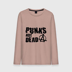 Мужской лонгслив Punks not dead