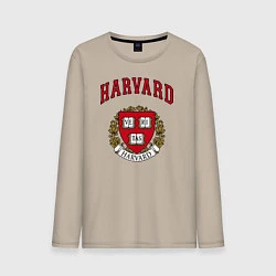 Мужской лонгслив Harvard university