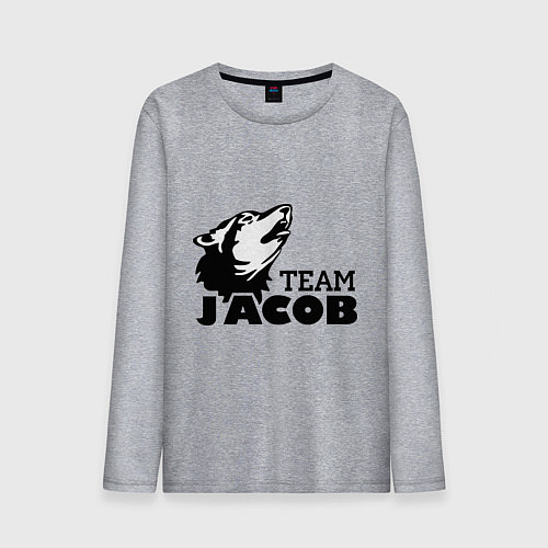 Мужской лонгслив Jacob team logo / Меланж – фото 1