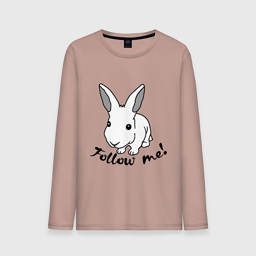 Мужской лонгслив Rabbit: follow me / Пыльно-розовый – фото 1