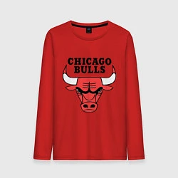 Мужской лонгслив Chicago Bulls