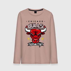 Лонгслив хлопковый мужской Chicago Bulls est. 1966, цвет: пыльно-розовый