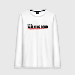 Мужской лонгслив Крылья