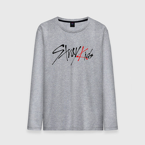 Мужской лонгслив STRAY KIDS BANGCHAN / Меланж – фото 1