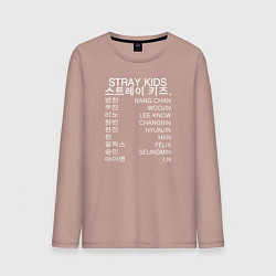 Мужской лонгслив Stray Kids