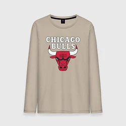 Мужской лонгслив CHICAGO BULLS