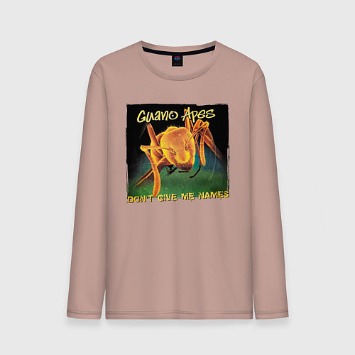 Мужской лонгслив Dont give me names / Пыльно-розовый – фото 1