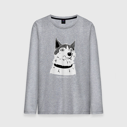 Мужской лонгслив Курьер - Шарик / Меланж – фото 1