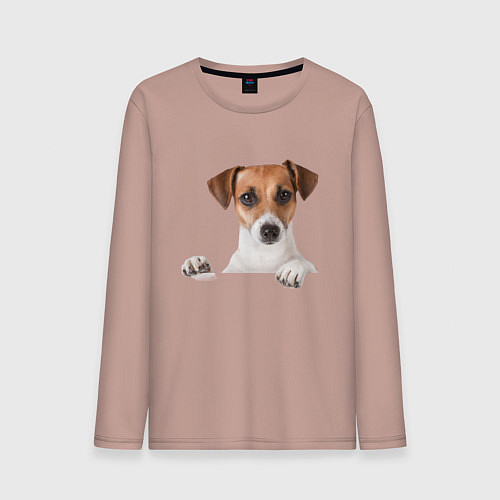 Мужской лонгслив Собака / Пыльно-розовый – фото 1