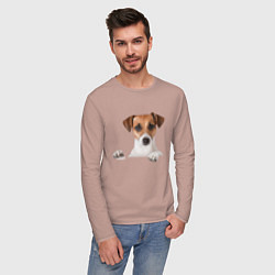 Лонгслив хлопковый мужской Собака, цвет: пыльно-розовый — фото 2