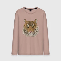 Лонгслив хлопковый мужской Тигр, цвет: пыльно-розовый