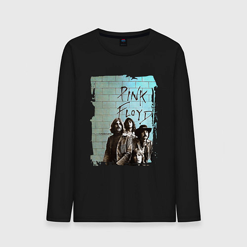 Мужской лонгслив PINK FLOYD, постер / Черный – фото 1