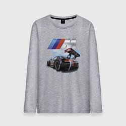Лонгслив хлопковый мужской BMW M POWER Motorsport Racing Team, цвет: меланж
